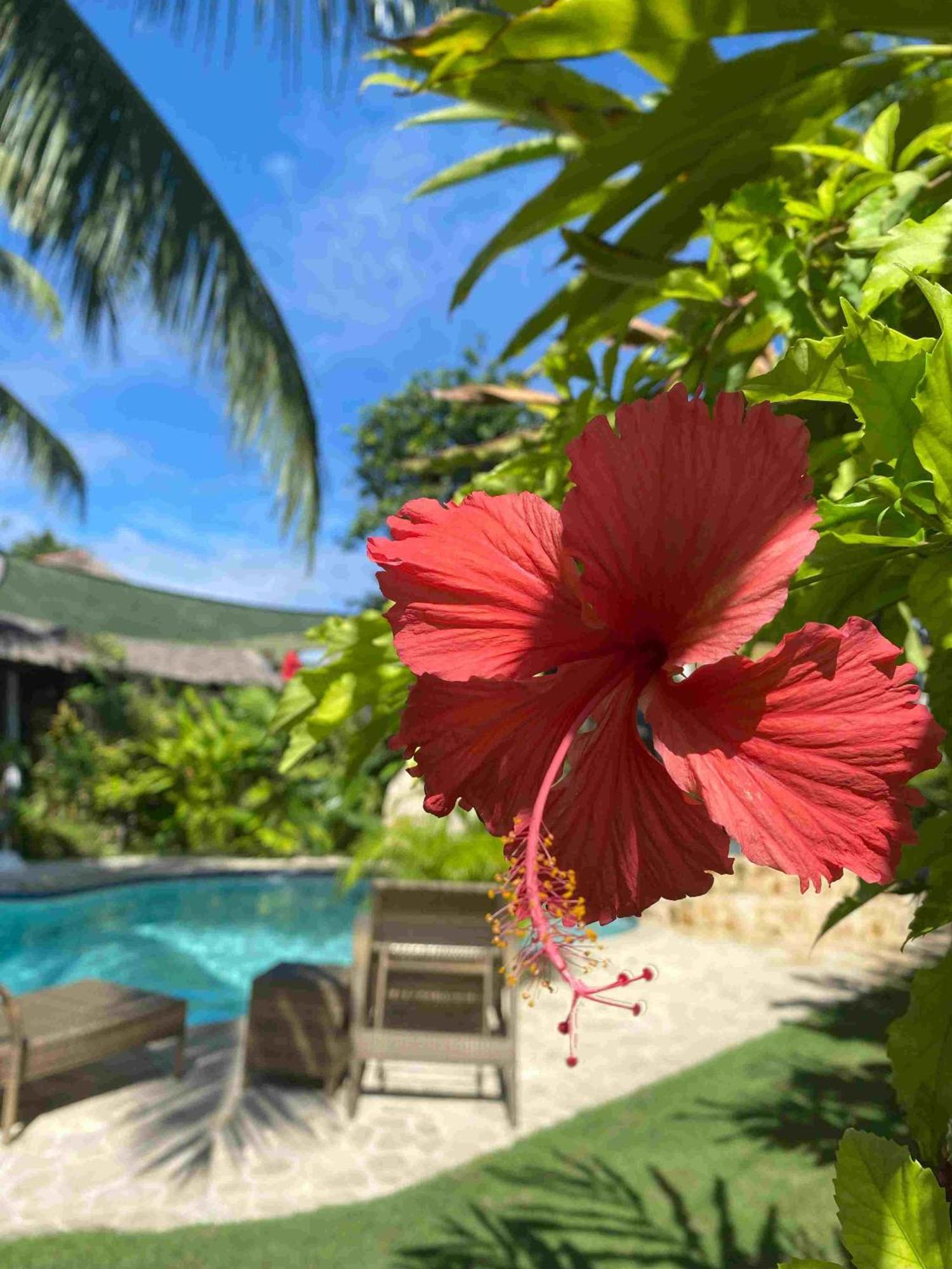Romantic Beach Villas جنرال لونا المظهر الخارجي الصورة